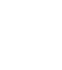 Verified Intelligence